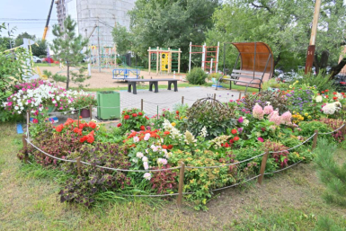 В Хабаровске выбрали &quotЛучший двор&quot Пресс-служба администрации Хабаровска